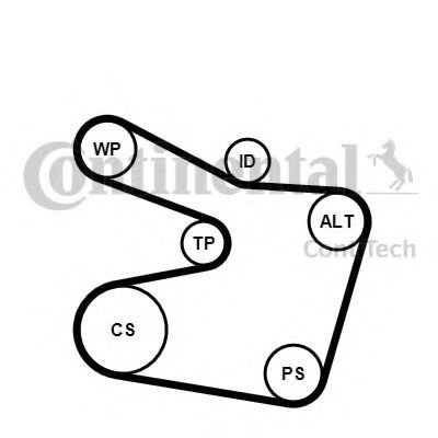 Set curea transmisie cu caneluri BMW Z3 cupe (E36)