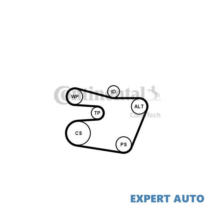 Set curea transmisie cu caneluri BMW Z3 (E36) 1995-2003 #2 6PK1538K1