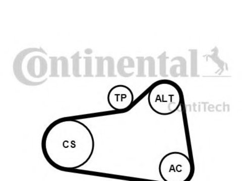 Set curea transmisie cu caneluri CITROËN C4 II (B7) (2009 - 2016) CONTITECH 6PK905 EXTRA K1