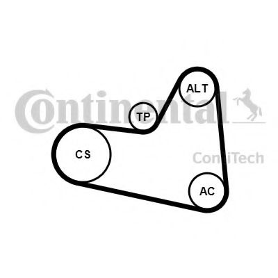 Set curea transmisie cu caneluri CITROËN C5 III Break (TD_) (2008 - 2016) CONTITECH 6PK976K1