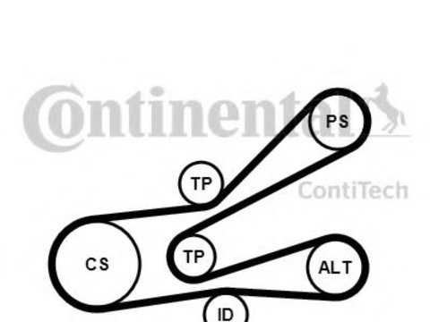 Set curea transmisie cu caneluri CITROËN XSARA Estate (N2) (1997 - 2010) CONTITECH 6PK1045K3