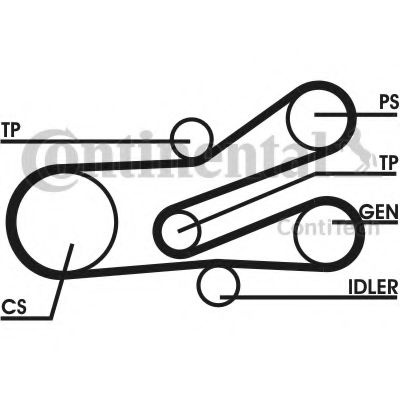 Set curea transmisie cu caneluri CITROEN BERLINGO 