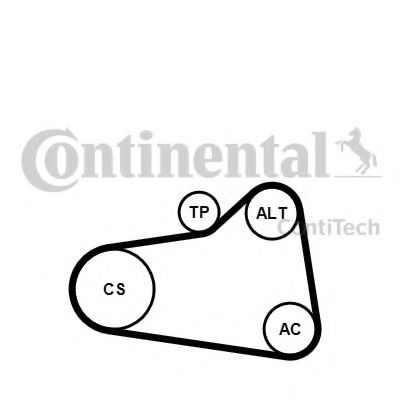 Set curea transmisie cu caneluri CITROEN C4 II (B7) (2009 - 2016) CONTITECH 6PK905 EXTRA K1 piesa NOUA