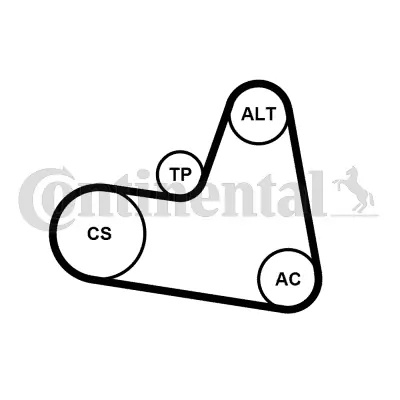 Set curea transmisie cu caneluri CONTINE