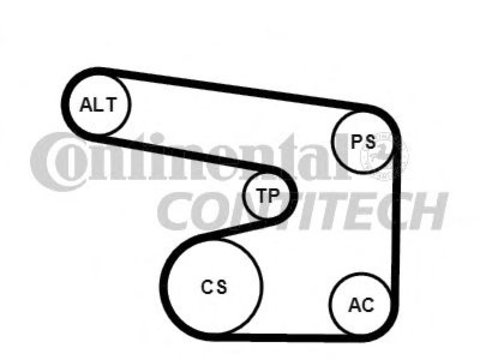 Set curea transmisie cu caneluri DAEWOO NUBIRA (KLAJ) - Cod intern: W20262747 - LIVRARE DIN STOC in 24 ore!!!