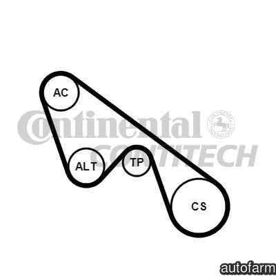 Set curea transmisie cu caneluri FIAT BRAVO II (19