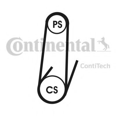 Set curea transmisie cu caneluri FIAT DOBLO Microbus (223, 119) (2001 - 2016) CONTITECH 4PK1022 ELAST T1 piesa NOUA