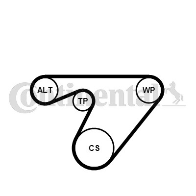 Set curea transmisie cu caneluri # Fiat Panda 2010