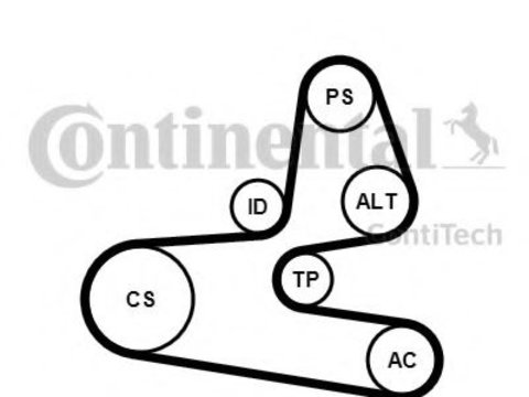 Set curea transmisie cu caneluri FIAT QUBO (225) (2008 - 2016) CONTITECH 6PK1564K1