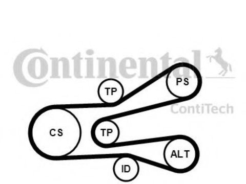 Set curea transmisie cu caneluri FIAT SCUDO Combinato (220P) (1996 - 2006) CONTITECH 6PK1440K1