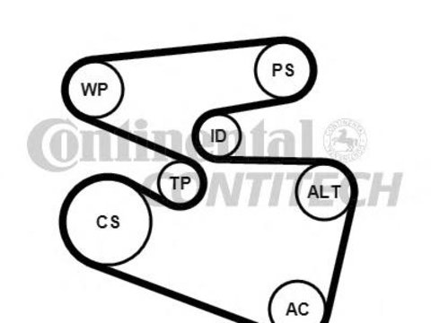 Set curea transmisie cu caneluri FORD ESCORT Mk VII (GAL, AAL, ABL), FORD ESCORT Mk VII limuzina (GAL, AFL), FORD ESCORT Mk VII combi (GAL, ANL) - CON