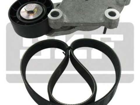 Set curea transmisie cu caneluri FORD FIESTA VI - Cod intern: W20035780 - LIVRARE DIN STOC in 24 ore!!!