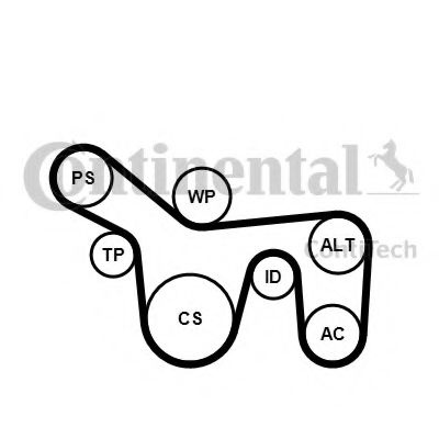 Set curea transmisie cu caneluri FORD TRANSIT CONNECT (P65, P70, P80) (2002 - 2016) CONTITECH 6PK1715K1 piesa NOUA