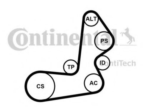 Set curea transmisie cu caneluri HYUNDAI SONATA V (NF) (2005 - 2010) CONTITECH 6PK1515K1 piesa NOUA