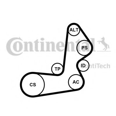 Set curea transmisie cu caneluri HYUNDAI TRAJET (FO) (2000 - 2008) CONTITECH 6PK1515K1