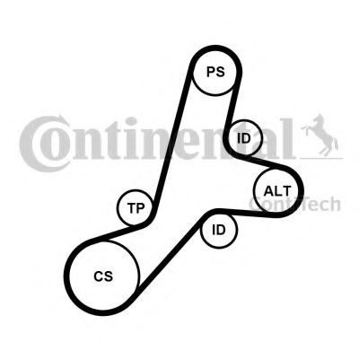 Set curea transmisie cu caneluri MAZDA 2 (DY) (2003 - 2016) CONTITECH 6PK1345K1