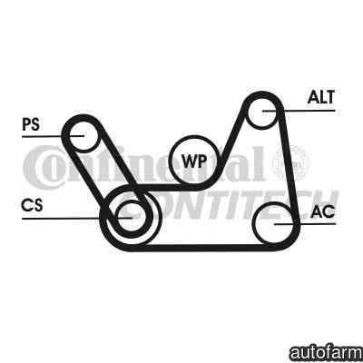 Set curea transmisie cu caneluri MAZDA 2 (DY) CONT