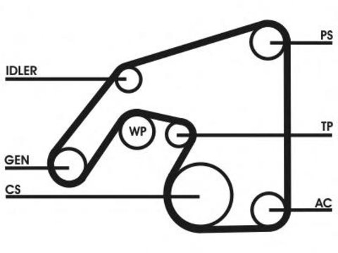 Set curea transmisie cu caneluri MERCEDES-BENZ SL (R129), MERCEDES-BENZ C-CLASS limuzina (W202), MERCEDES-BENZ E-CLASS limuzina (W210) - CONTITECH 6PK