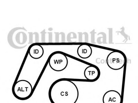 Set curea transmisie cu caneluri MERCEDES E-CLASS (W210) (1995 - 2003) CONTITECH 6PK2271K1 piesa NOUA