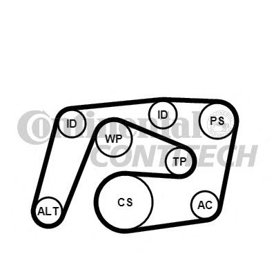 Set curea transmisie cu caneluri MERCEDES W203/204 W211 CDI - Cod intern: W20262749 - LIVRARE DIN STOC in 24 ore!!!