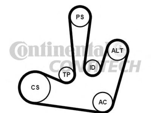 Set curea transmisie cu caneluri MITSUBISHI CARISMA (DA_), MITSUBISHI CARISMA limuzina (DA_), RENAULT MASTER II Van (FD) - CONTITECH 6PK1795K1