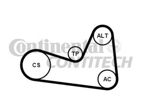 Set curea transmisie cu caneluri NISSAN JUKE (F15) - Cod intern: W20262731 - LIVRARE DIN STOC in 24 ore!!!