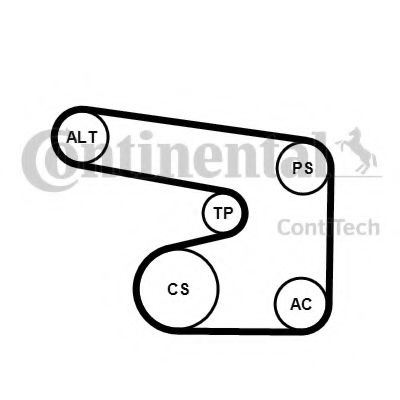 Set curea transmisie cu caneluri OPEL OMEGA B (25_, 26_, 27_) (1994 - 2003) CONTITECH 6PK1900K1