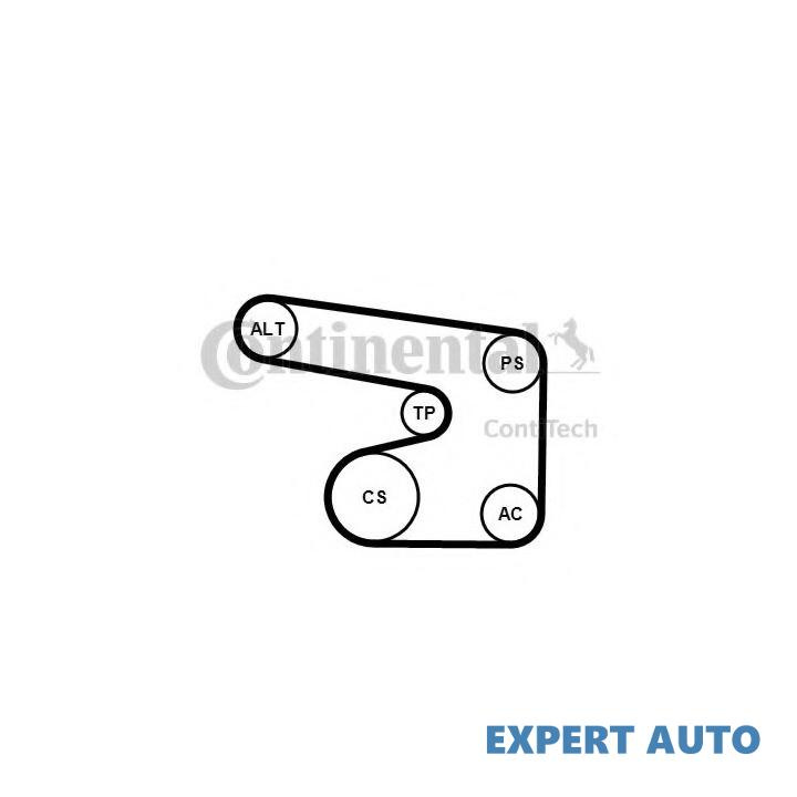Set curea transmisie cu caneluri Opel VECTRA A hatchback (88_, 89_) 1988-1995 #2 6PK1900K1