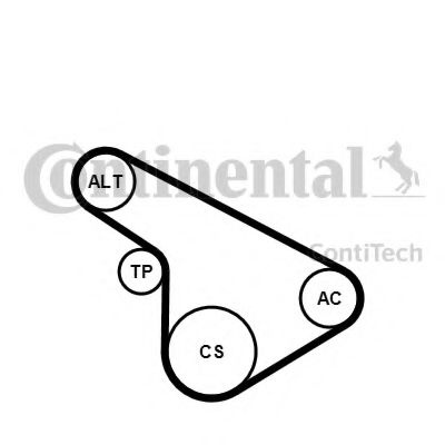 Set curea transmisie cu caneluri OPEL ZAFIRA B (A0