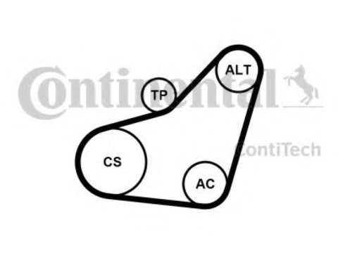 Set curea transmisie cu caneluri PEUGEOT 107 (2005 - 2016) CONTITECH 6PK800K1