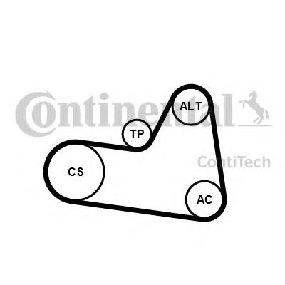 Set curea transmisie cu caneluri PEUGEOT 206 Van (