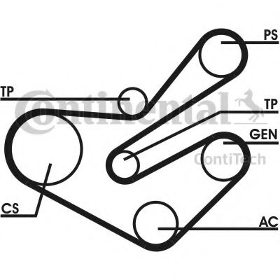 Set curea transmisie cu caneluri PEUGEOT 306 Hatch