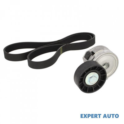 Set curea transmisie cu caneluri Peugeot 307 CC (3