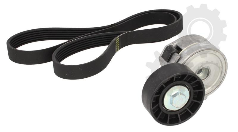 Set curea transmisie cu caneluri PEUGEOT 407 6D Producator SKF VKMA 33320