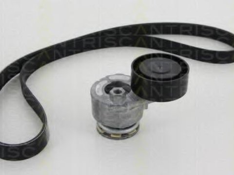 Set curea transmisie cu caneluri RENAULT KANGOO (KC0/1_), RENAULT CLIO Mk II (BB0/1/2_, CB0/1/2_), RENAULT KANGOO Rapid (FC0/1_) - TRISCAN 8642 25001