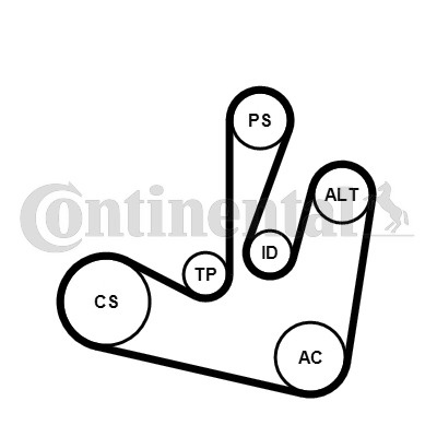 Set curea transmisie cu caneluri ~ Renault Kangoo 1997 1998 1999 2000 2001 2002 2003 2004 2005 2006 2007 2008 2009 2010 2011 2012 2013 2014 2015 2016 2017 2018 2019 2020 2021 2022 2023 2024 ~ 6PK1750K2 ~ CONTITECH