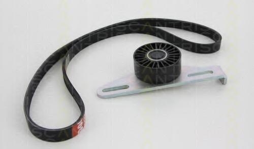 Set curea transmisie cu caneluri RENAULT LAGUNA I I (B56_, 556_), RENAULT LAGUNA I Estate (K56_), RENAULT MEGANE I (BA0/1_) - TRISCAN 8642 25002