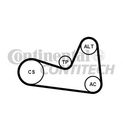 Set curea transmisie cu caneluri RENAULT LAGUNA II