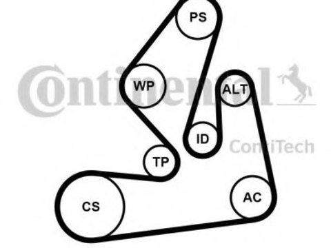 Set curea transmisie cu caneluri RENAULT MASTER III platou / sasiu (EV, HV, UV) (2010 - 2016) CONTITECH 7PK1970K1