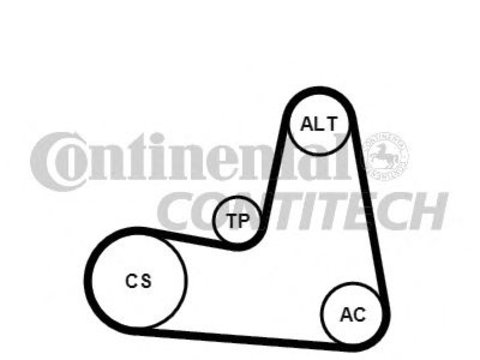 Set curea transmisie cu caneluri RENAULT MEGANE III cupe (DZ0/1_) - Cod intern: W20262758 - LIVRARE DIN STOC in 24 ore!!!