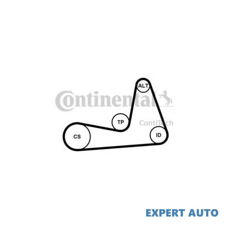 Set curea transmisie cu caneluri Renault MODUS / G