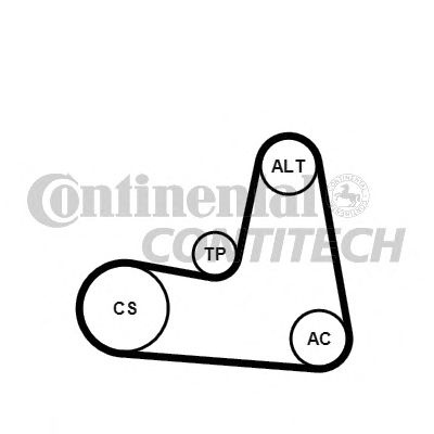 Set curea transmisie cu caneluri RENAULT SCENIC III (JZ0/1_) - Cod intern: W20262758 - LIVRARE DIN STOC in 24 ore!!!