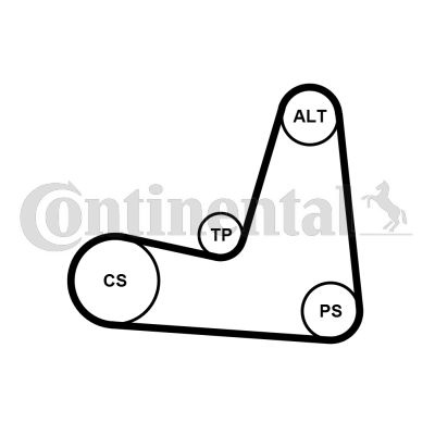 Set curea transmisie cu caneluri # Renault Symbol 