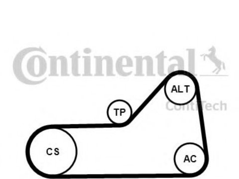 Set curea transmisie cu caneluri SEAT ALHAMBRA (7V8, 7V9) (1996 - 2010) CONTITECH 6PK1153K1