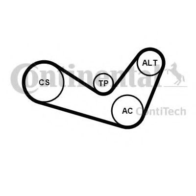 Set curea transmisie cu caneluri SEAT ALTEA XL (5P5, 5P8) (2006 - 2016) CONTITECH 6PK1050K2 piesa NOUA