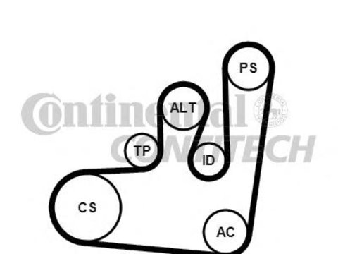 Set curea transmisie cu caneluri SEAT CORDOBA limuzina (6K1, 6K2), SEAT TOLEDO (1L), VW PASSAT (3A2, 35I) - CONTITECH 6PK1145K1