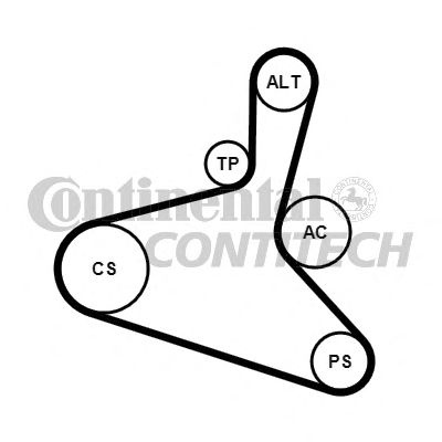 Set curea transmisie cu caneluri SEAT CORDOBA Vari