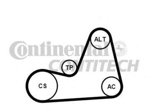 Set curea transmisie cu caneluri SEAT IBIZA Mk II (6K1), SKODA OCTAVIA (1U2), SKODA OCTAVIA Combi (1U5) - CONTITECH 6PK1100K1