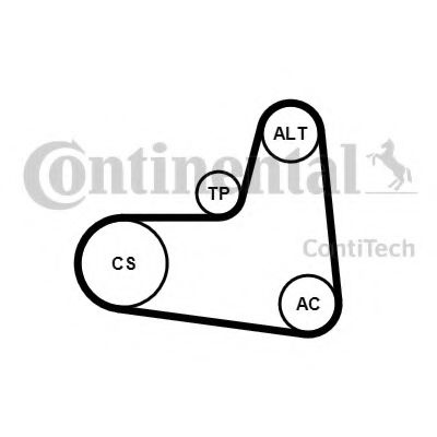 Set curea transmisie cu caneluri SEAT IBIZA Mk IV (6L1) (2002 - 2009) CONTITECH 6PK995K1