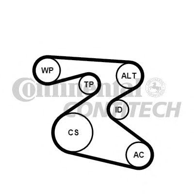 Set curea transmisie cu caneluri SKODA FABIA (6Y2)